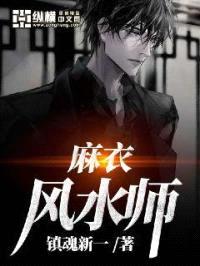 麻衣风水师封面