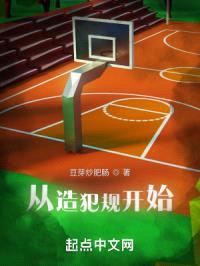 从造犯规开始封面