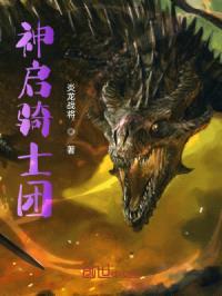 神启骑士团封面