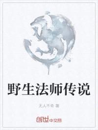 野生法师传说封面