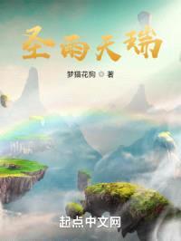 圣雨天瑞封面