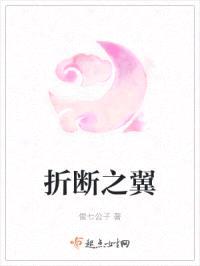 折断之翼封面