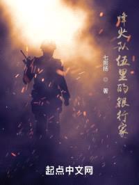 烽火队伍里的银行家封面