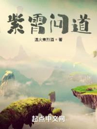紫霄问道封面