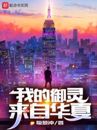 我的御灵来自华夏封面