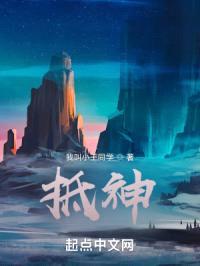 抵神封面