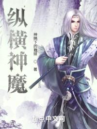 纵横神魔封面