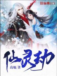 仙灵劫封面