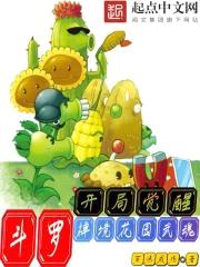 斗罗：开局觉醒禅境花园武魂封面