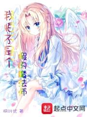 我怕不是个假的魔法师封面