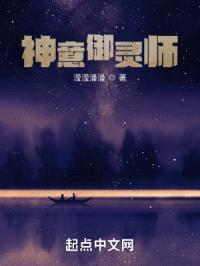 神意御灵师封面
