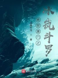 绝世唐门之冰岚斗罗封面