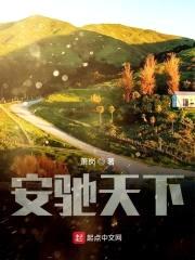 安驰天下封面