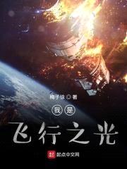 我是飞行之光封面