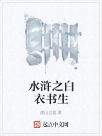 水浒之白衣书生封面