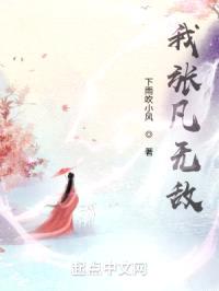 我张凡无敌封面