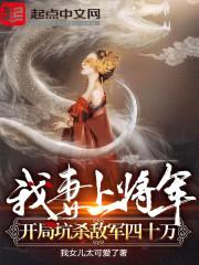 我妻上将军，开局坑杀敌军四十万封面