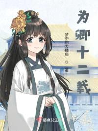 为卿十二载封面