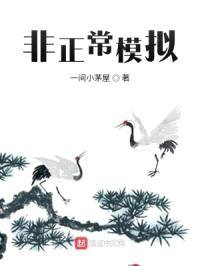非正常模拟封面