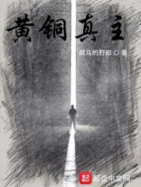 黄铜真主封面