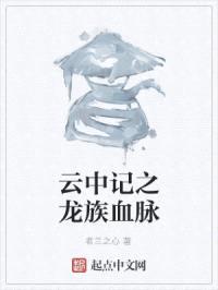 云中记之龙族血脉封面