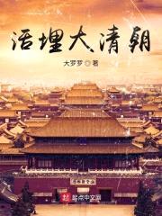 活埋大清朝封面