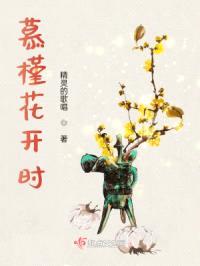 慕槿花开时封面