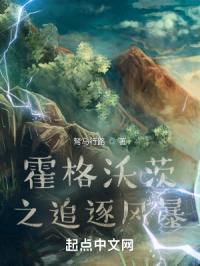 霍格沃茨之追逐风暴封面