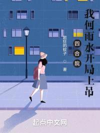 四合院我何雨水开局上吊封面
