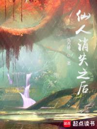 仙人消失之后封面