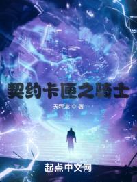 契约卡匣之骑士封面