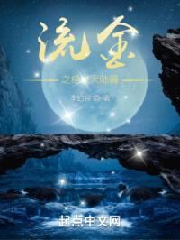 流金之绝世天陆篇封面