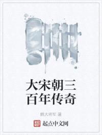 大宋朝三百年传奇封面