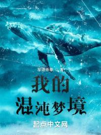 我的混沌梦境封面