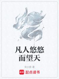 凡人悠悠而望天封面