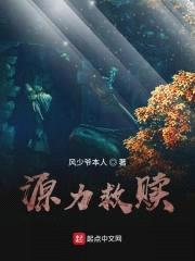源力救赎封面