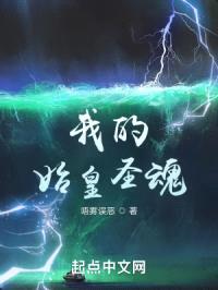 我的始皇圣魂封面