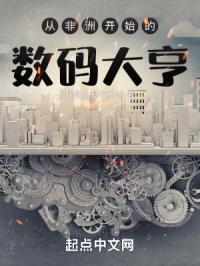 从非洲开始的数码大亨封面