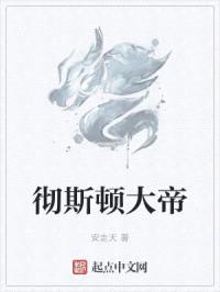 彻斯顿大帝封面