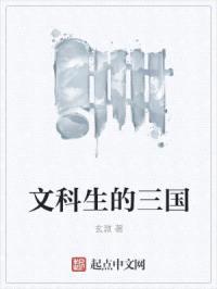 文科生的三国封面