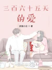 三百六十五天的爱封面