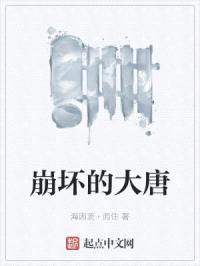 崩坏的大唐封面