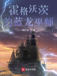 霍格沃茨的蓝龙巫师封面