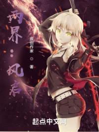 两界：风启封面