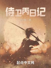 侍卫丙日记封面