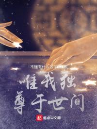 唯我独尊于世间封面