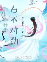 我的器灵不对劲封面