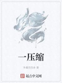 一压缩封面