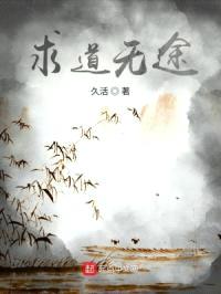 求道无途封面