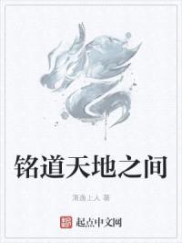 铭道天地之间封面